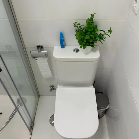 Cosy La Pinta * 칸델라리아