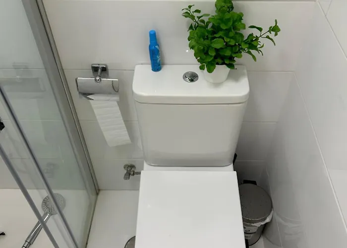 Cosy La Pinta * カンデラリア